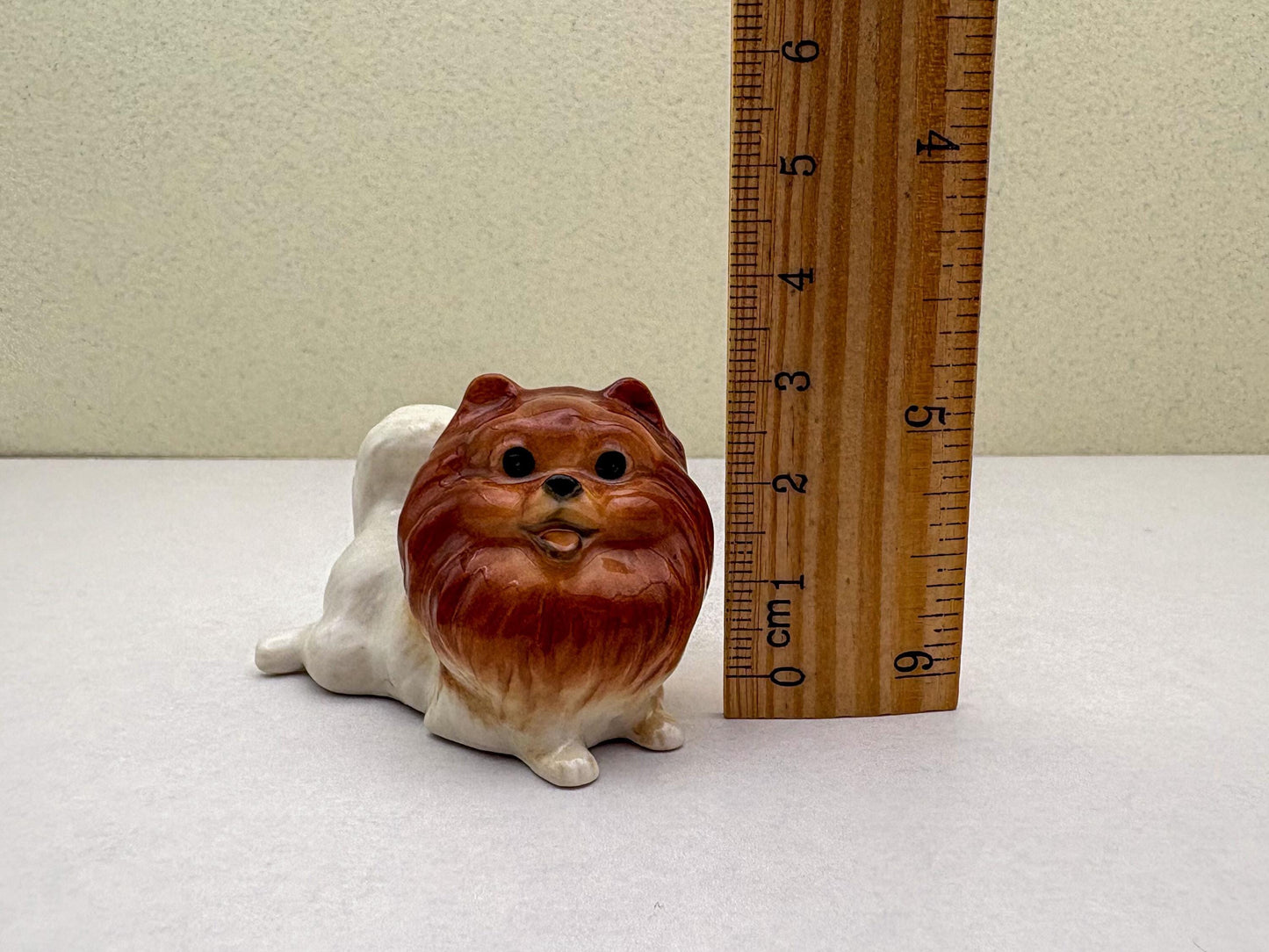 Reddish-Brown Pomeranian set
