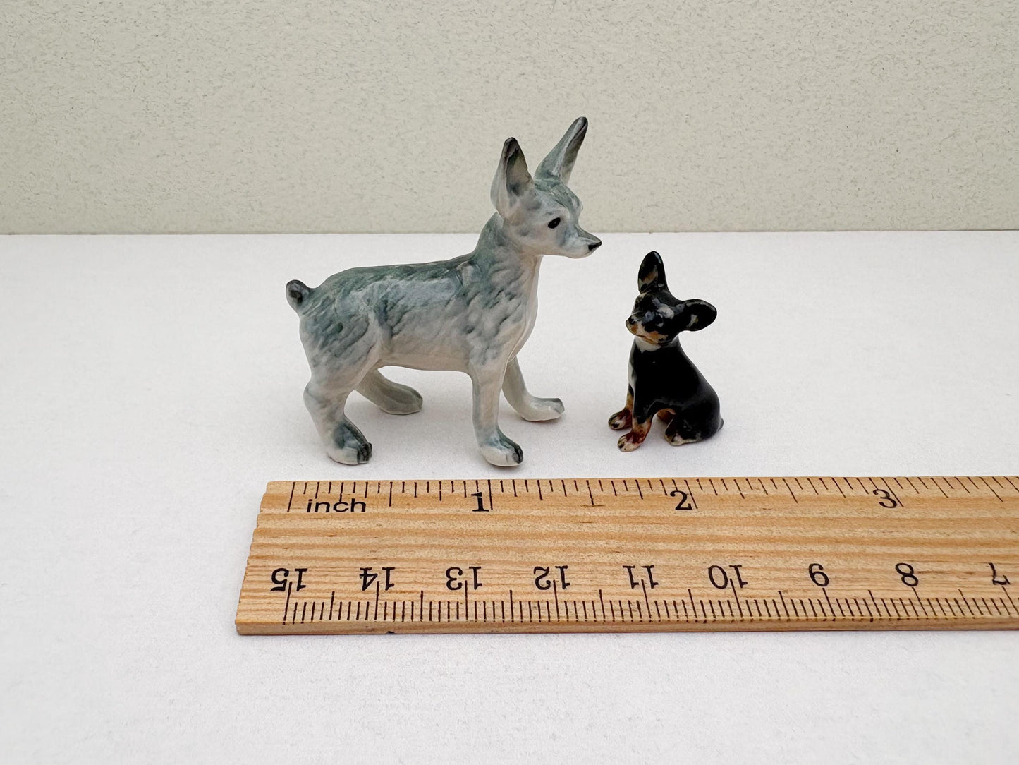 Mini Chihuahua Set