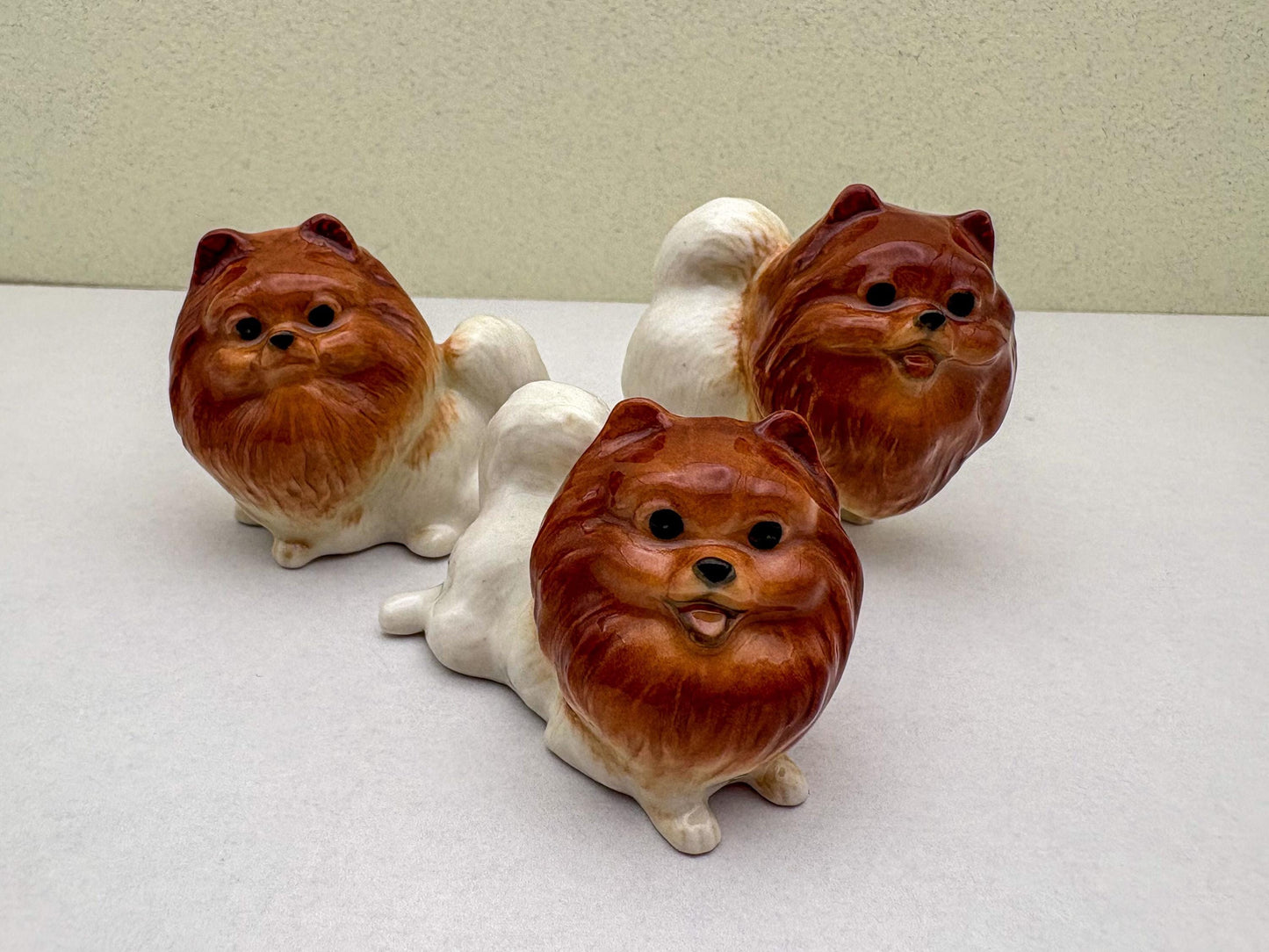 Reddish-Brown Pomeranian set