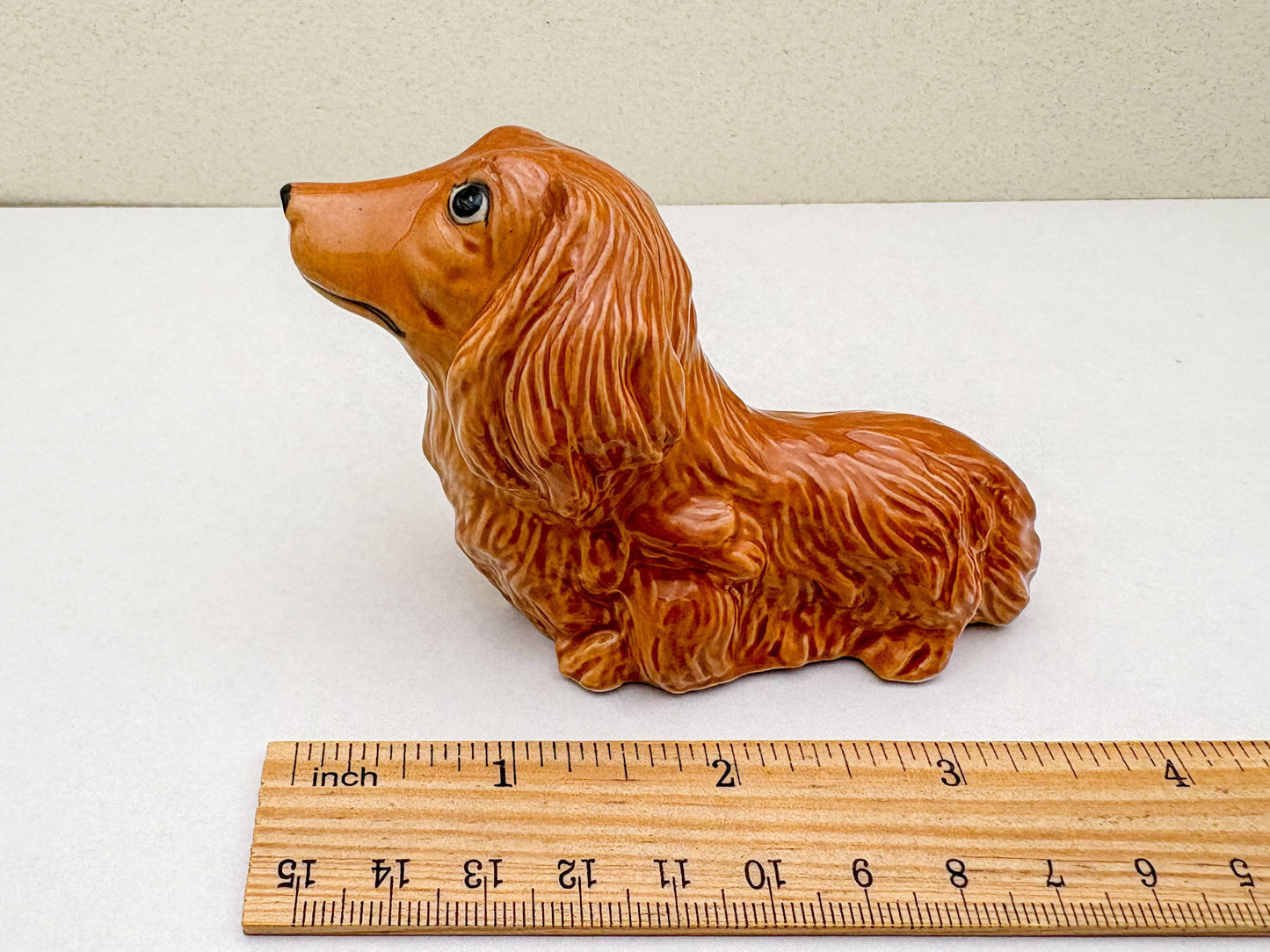 Long-Haired Dachshund