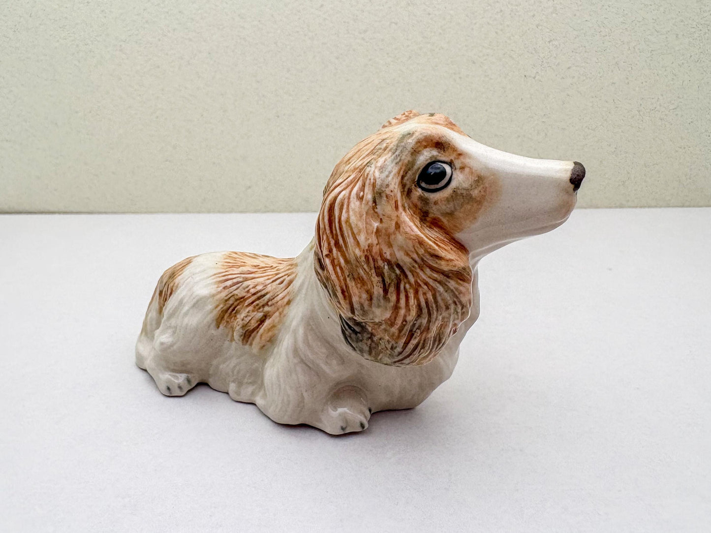 Long-Haired Dachshund