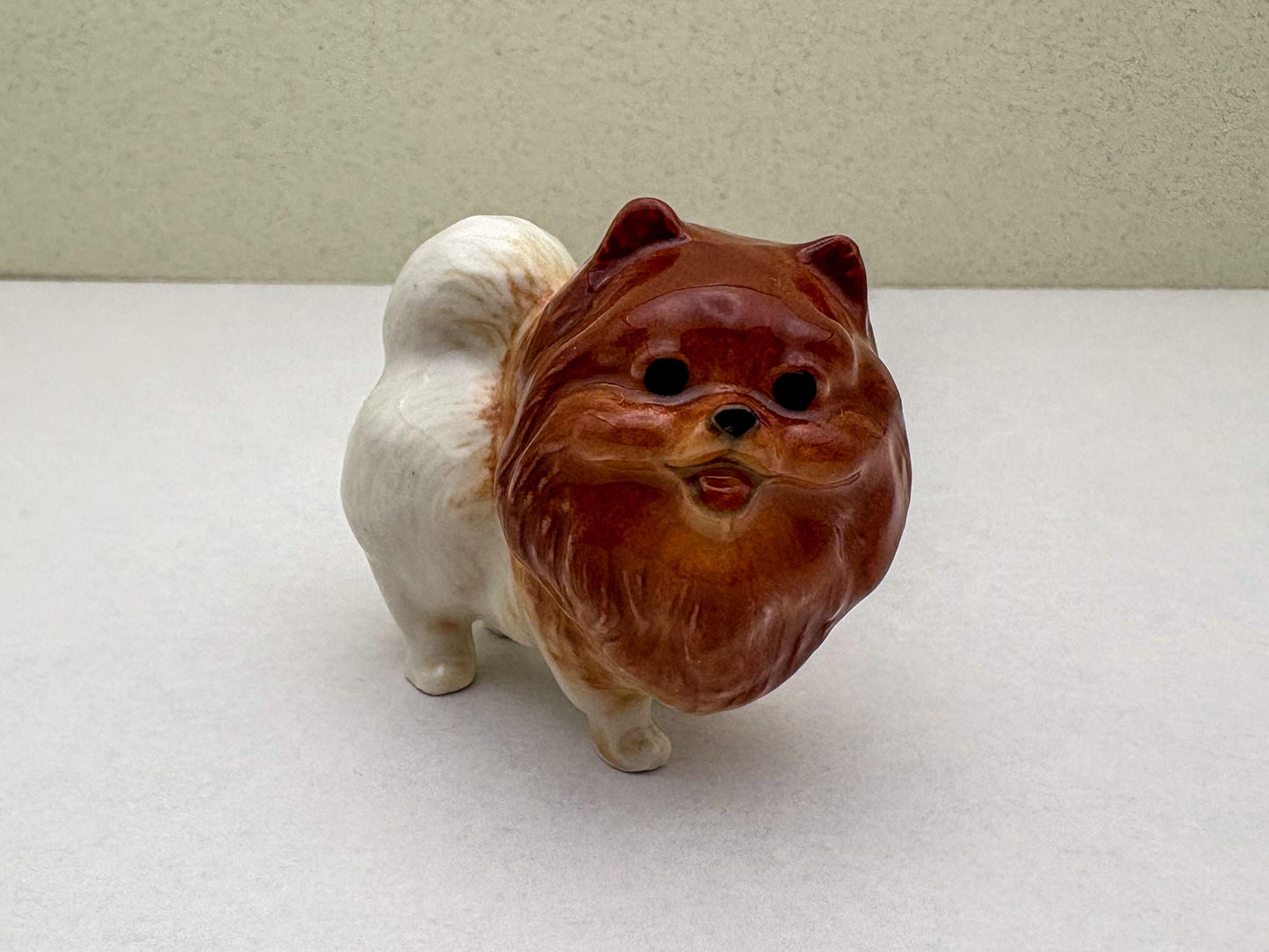 Reddish-Brown Pomeranian set