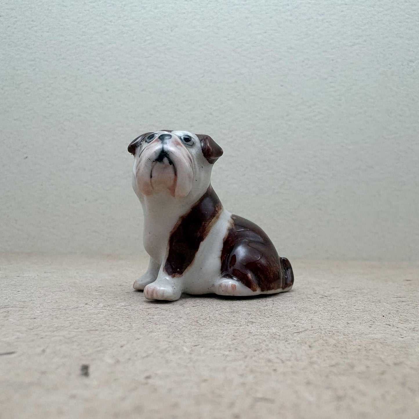 Bulldogs, Sitting and Standing Poses