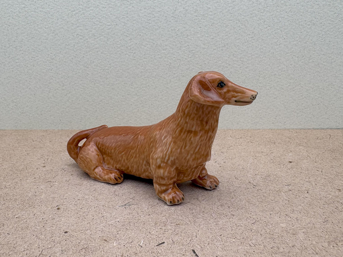 Brown Wiener Dachshund