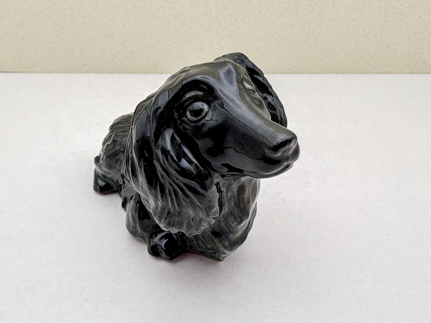 Long-Haired Dachshund