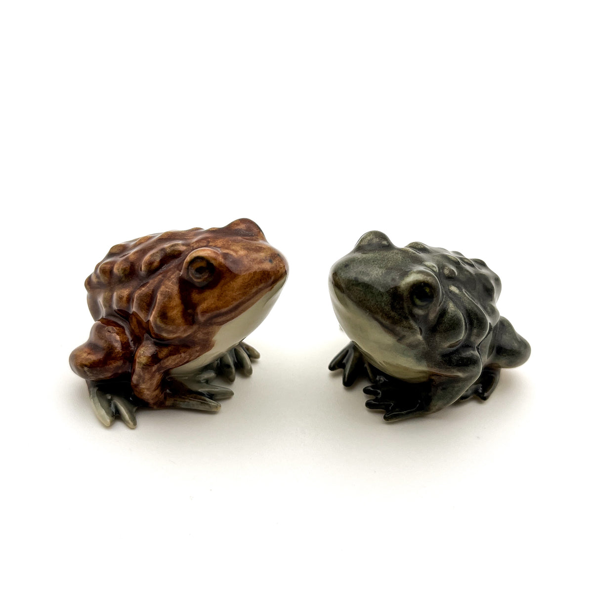 Toad