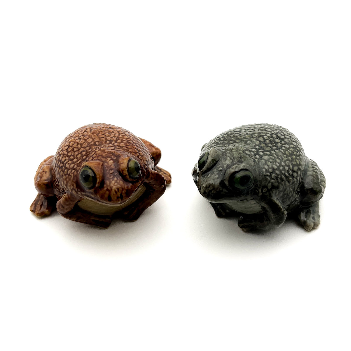 Toad Frog