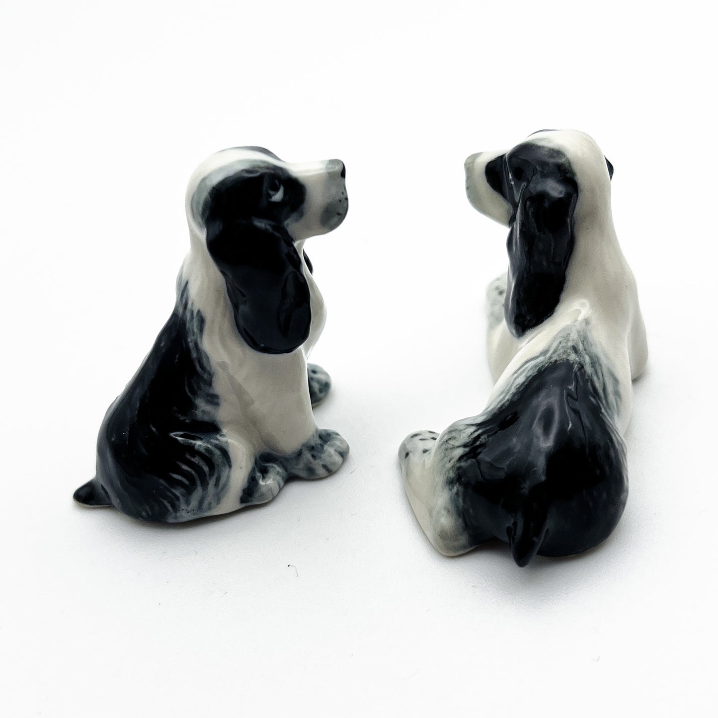 2 White and Black Cocker Spaniel Dogs