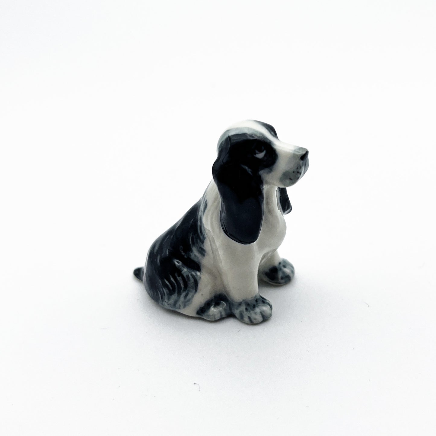 2 White and Black Cocker Spaniel Dogs