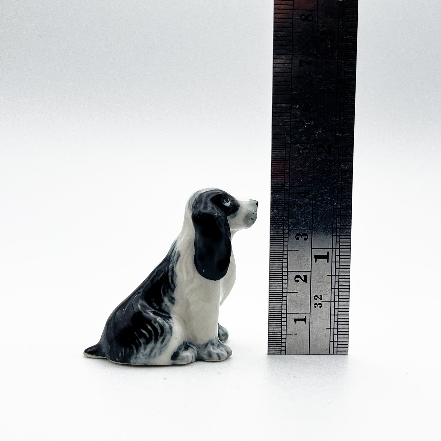 2 White and Black Cocker Spaniel Dogs
