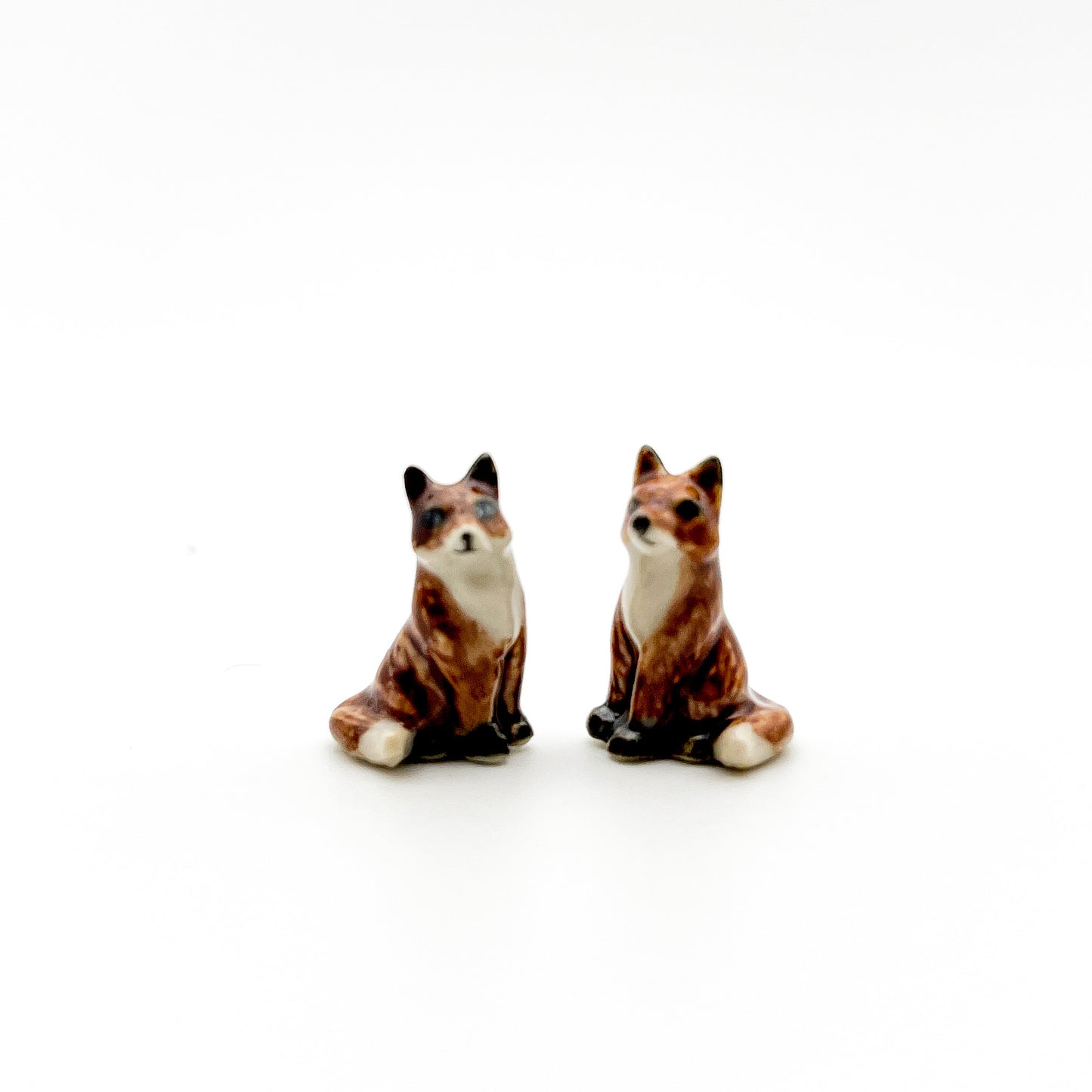 2 Tiny Foxes