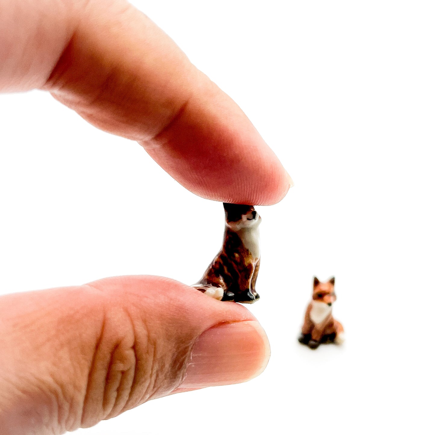 2 Tiny Foxes