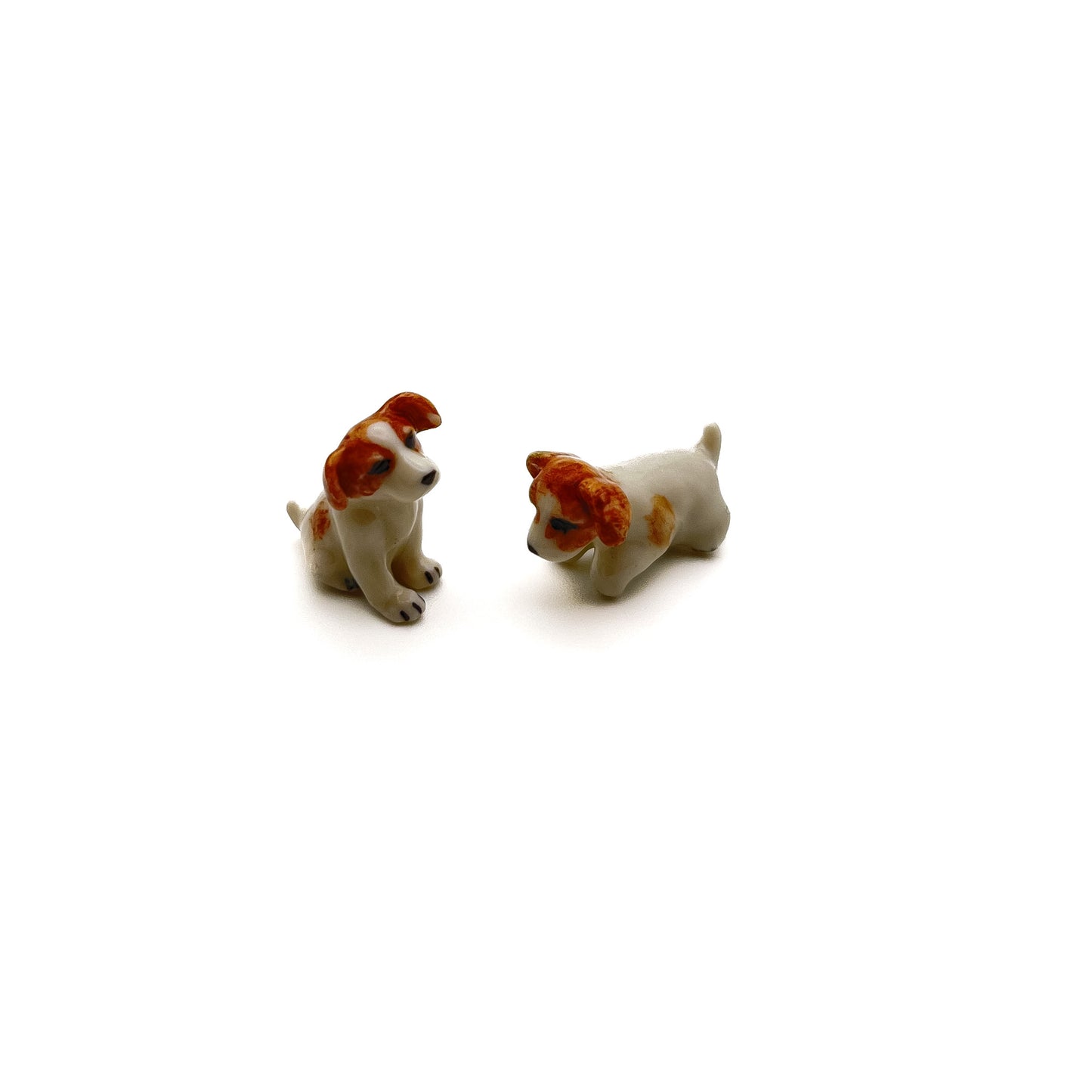 2 Tiny Jack Russell