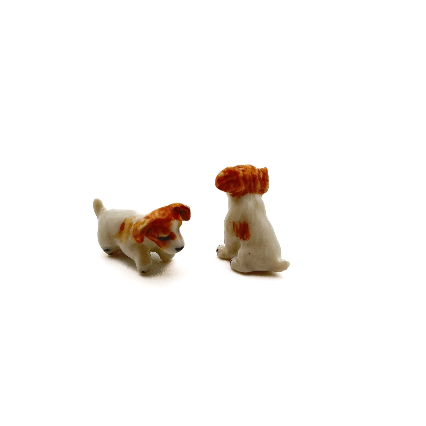 2 Tiny Jack Russell