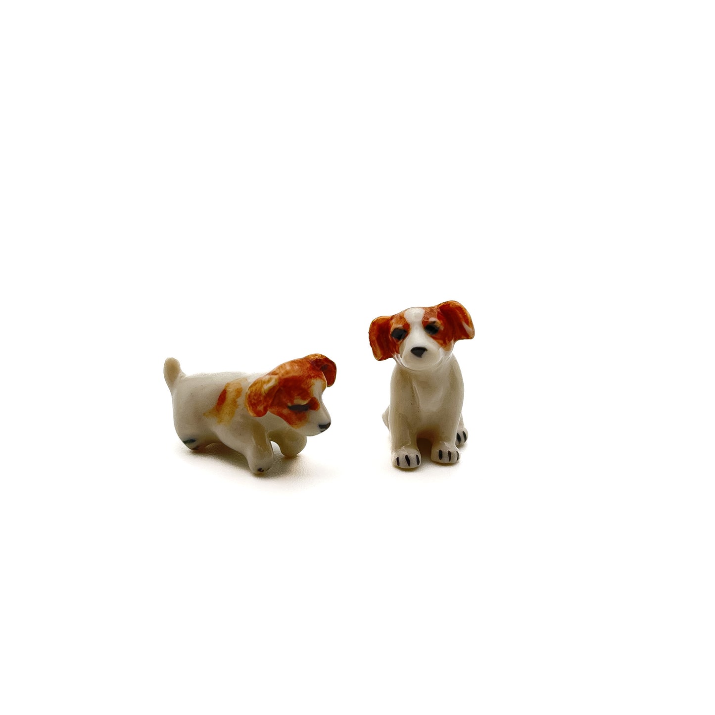 2 Tiny Jack Russell