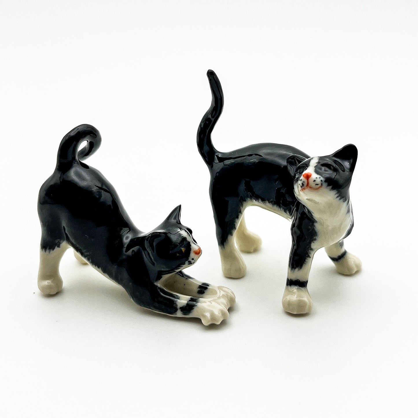 2 Stretching Cajoling Cats
