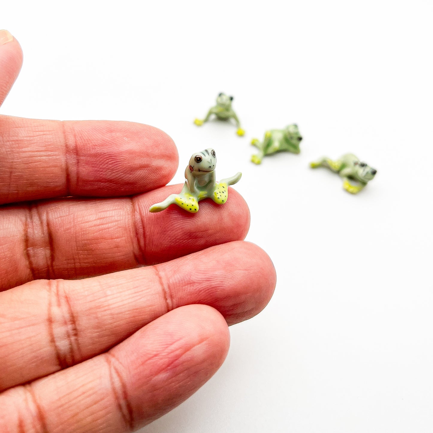 4 Tiny Frogs