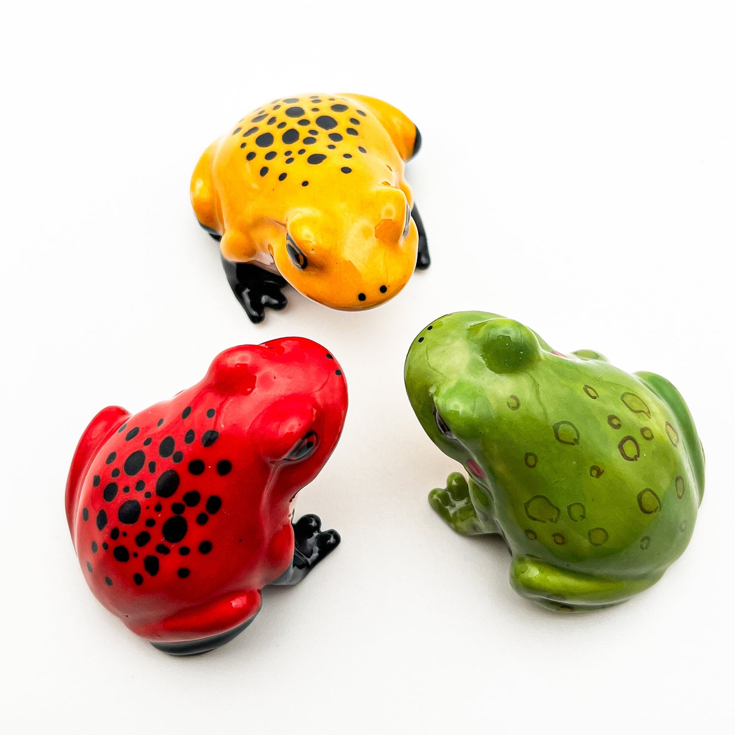 Frog #1