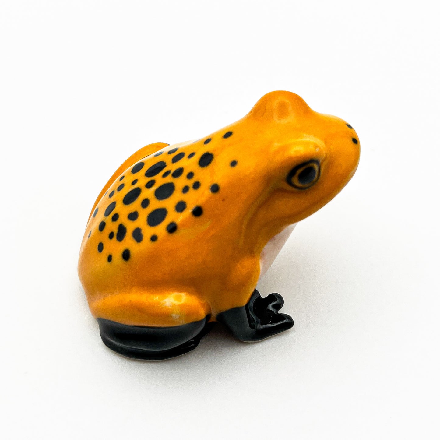 Frog #1