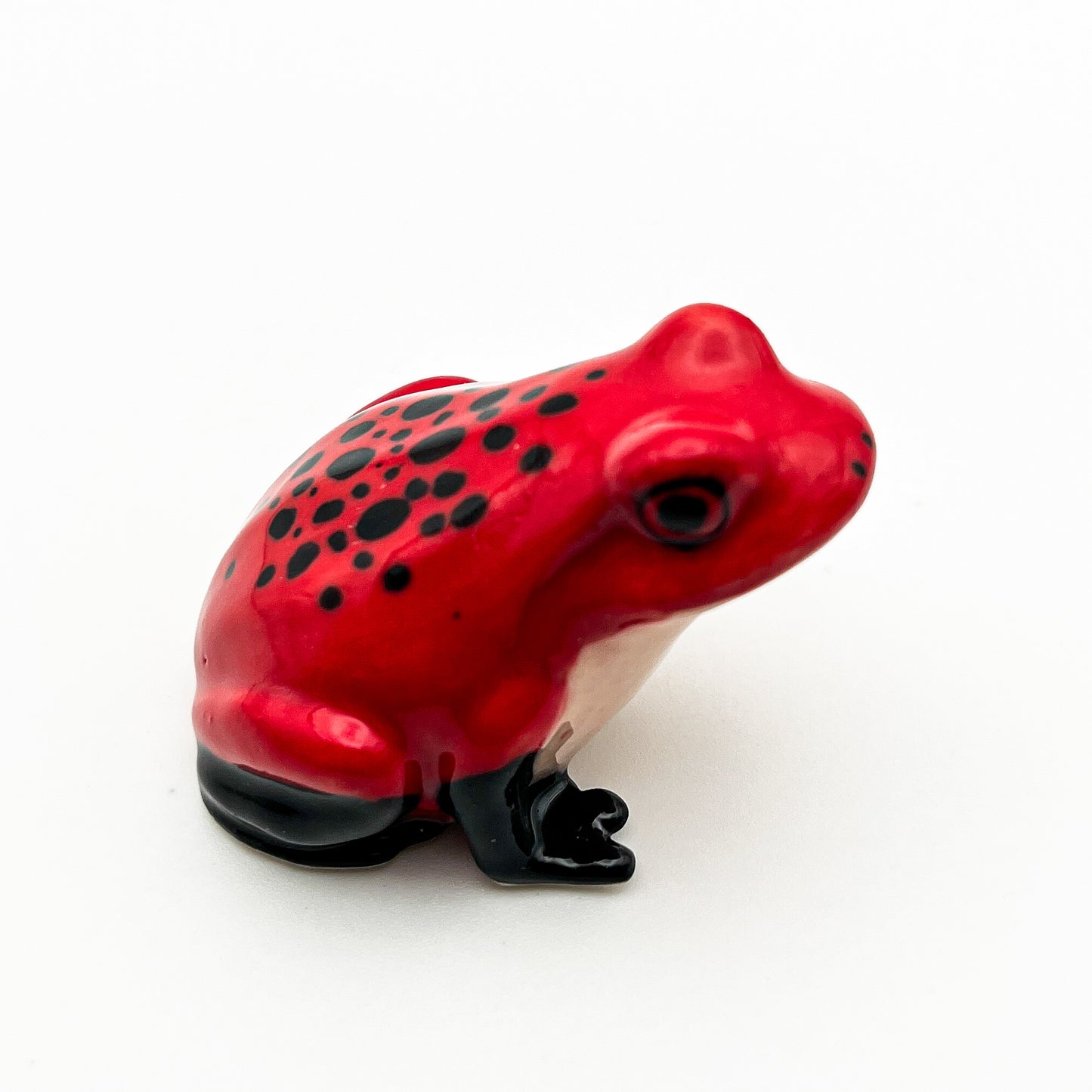 Frog #1