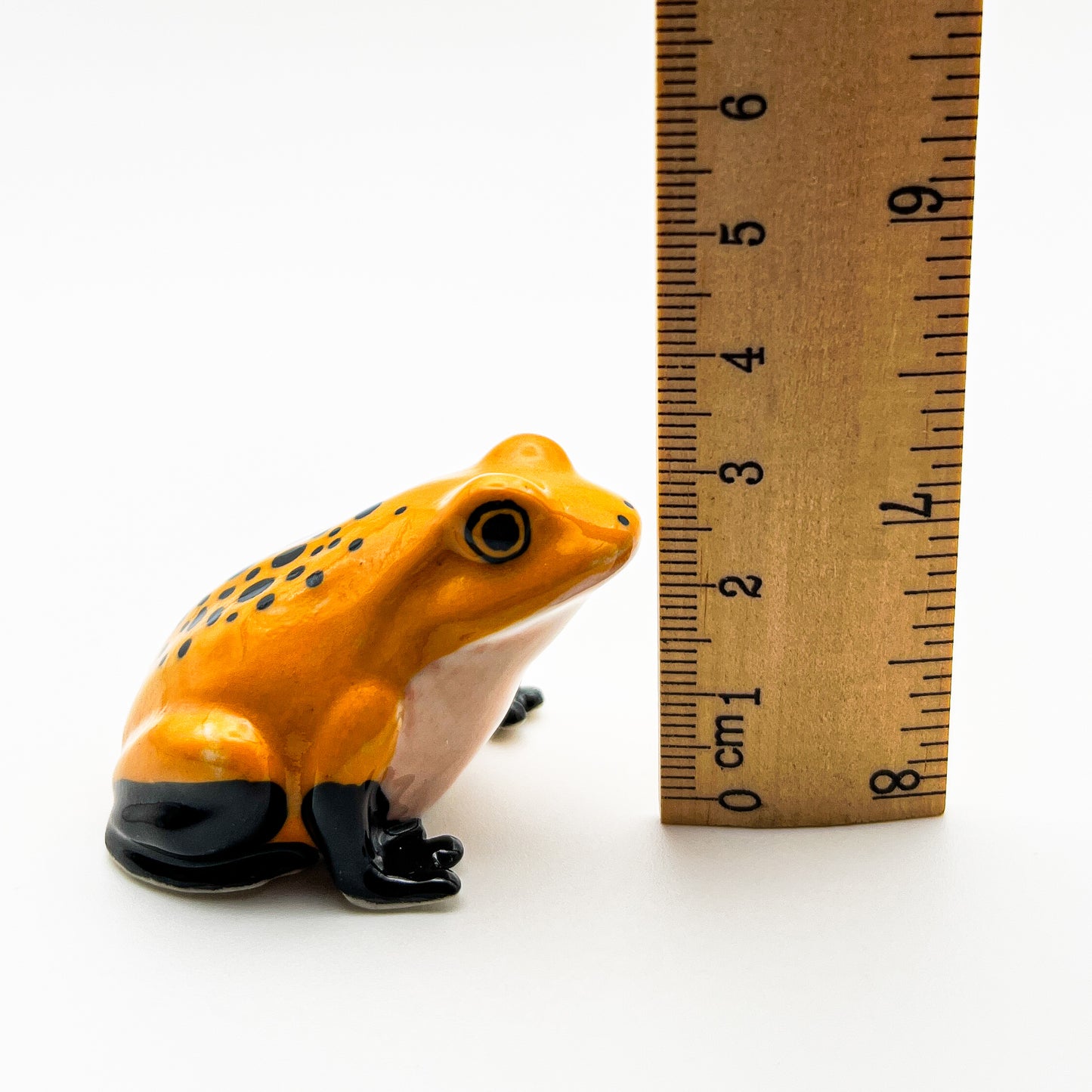 Frog #1