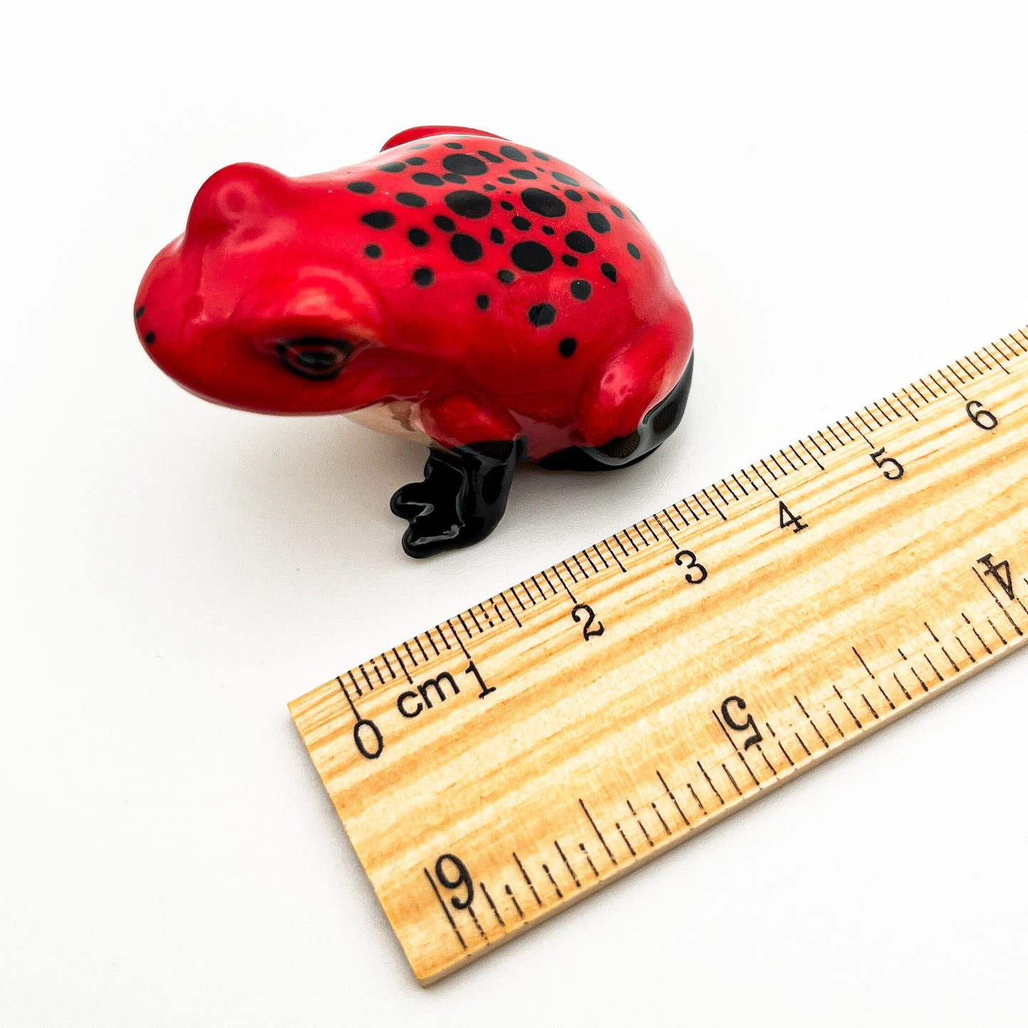 Frog #1