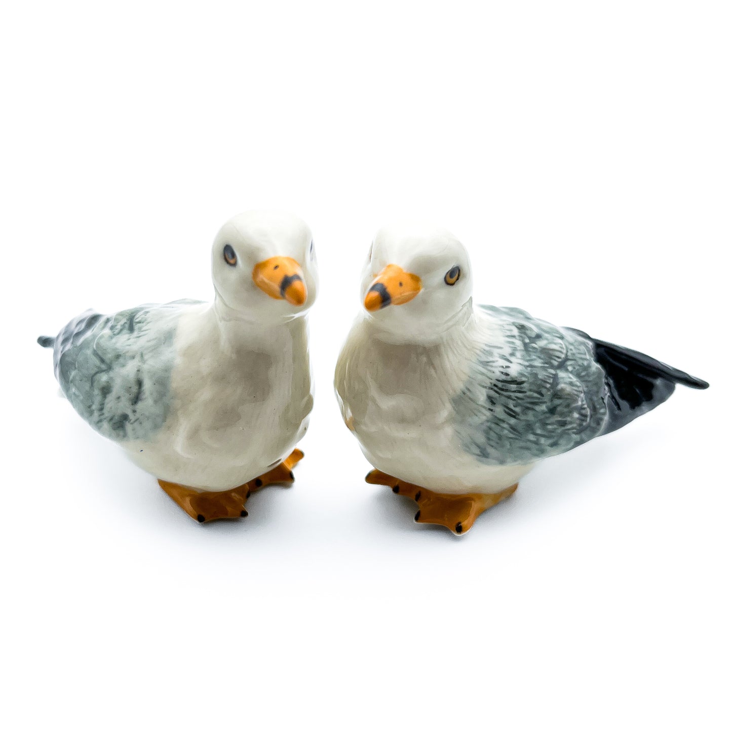 Seagull