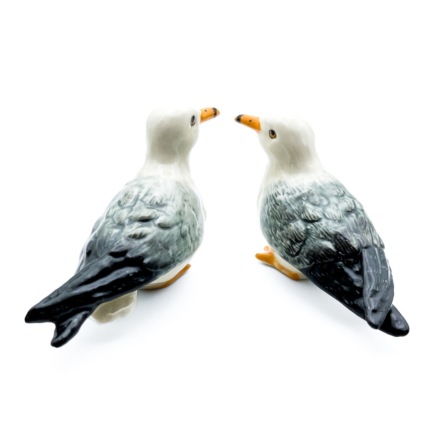 Seagull