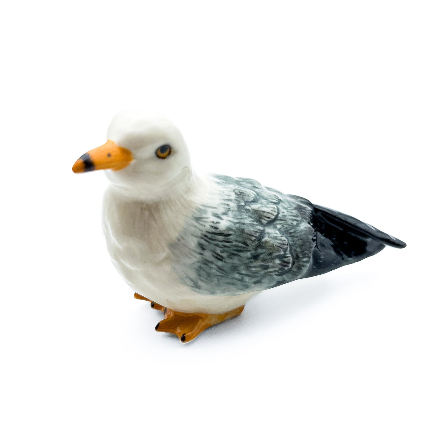 Seagull
