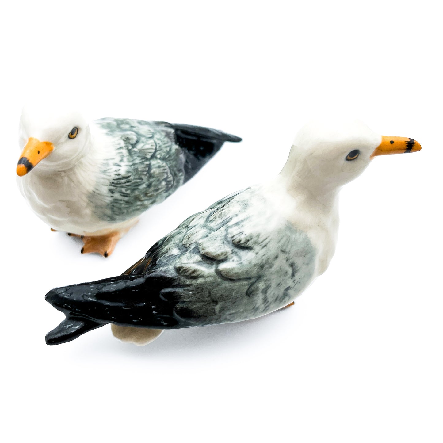 Seagull