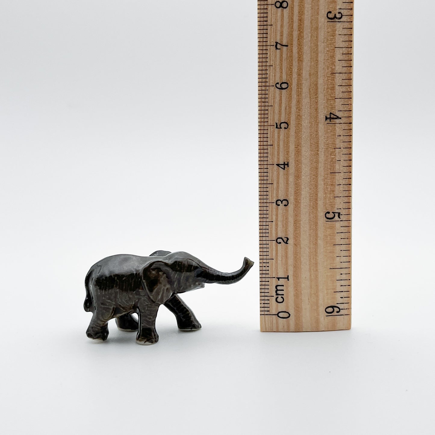 Tiny Elepahnt