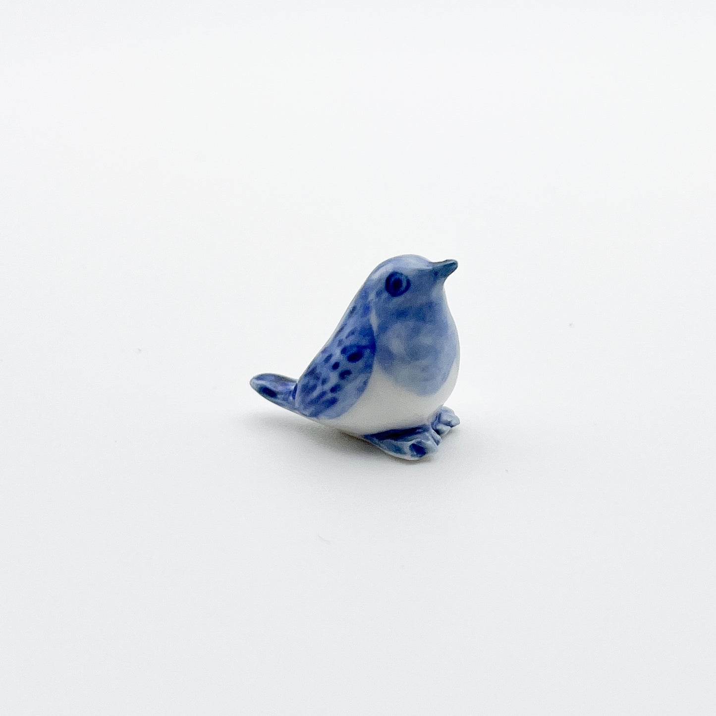 Blue Robin