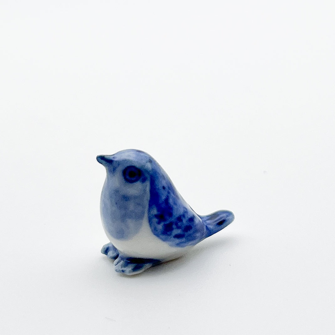 Blue Robin