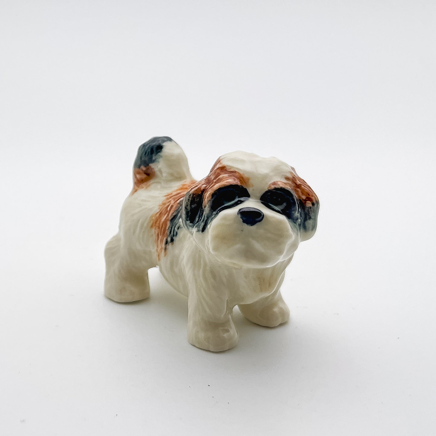 2 Shih Tzu