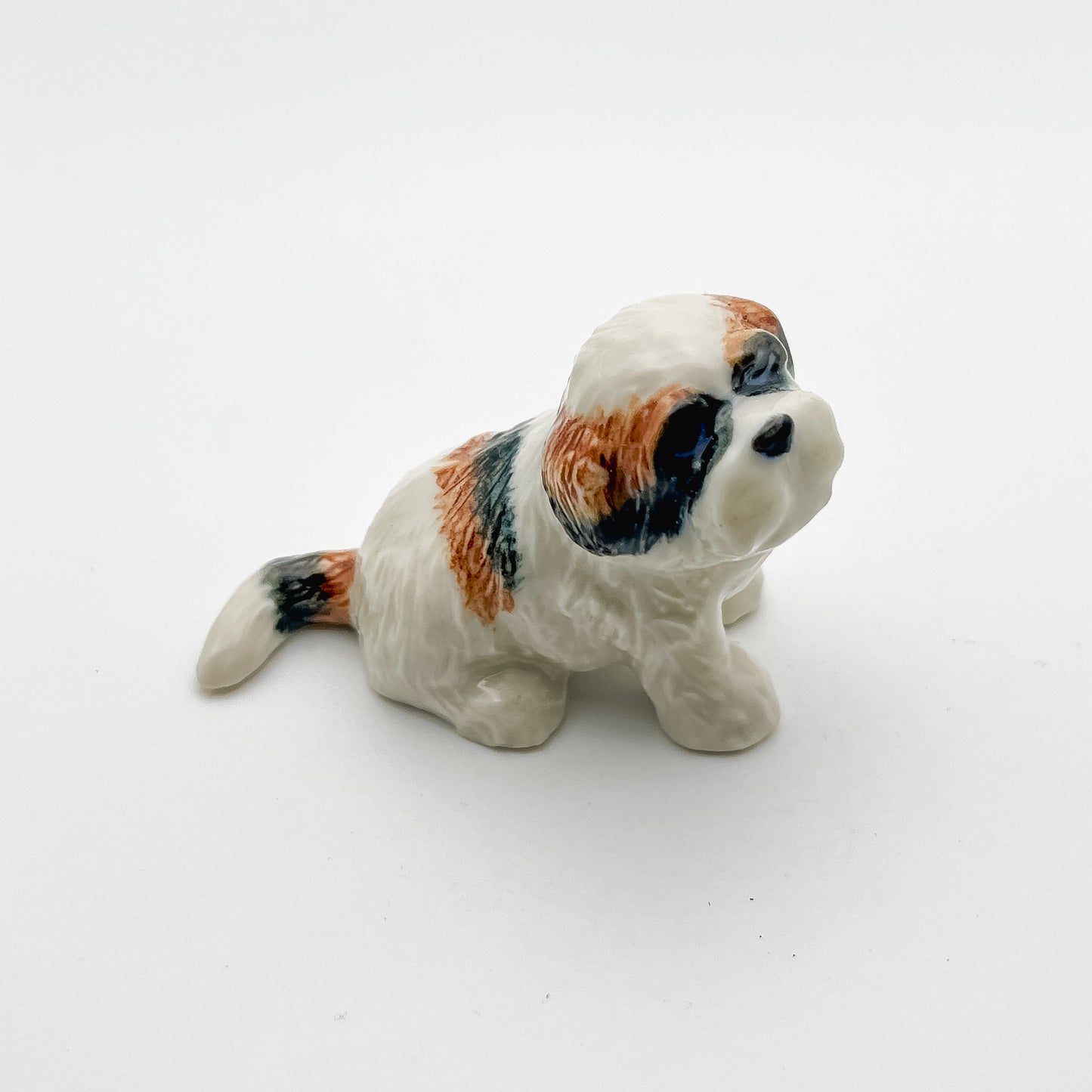 2 Shih Tzu