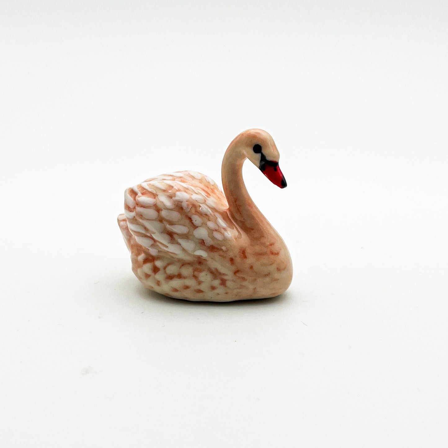Swan