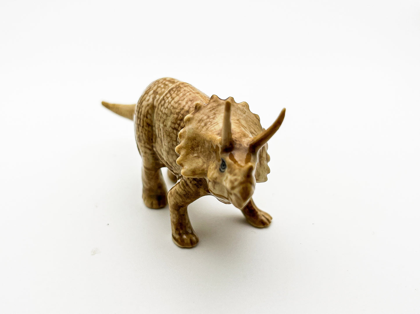Anchiceratops Ceramic Figurine