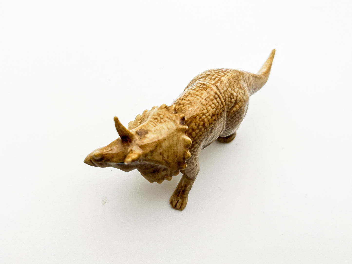Anchiceratops Ceramic Figurine