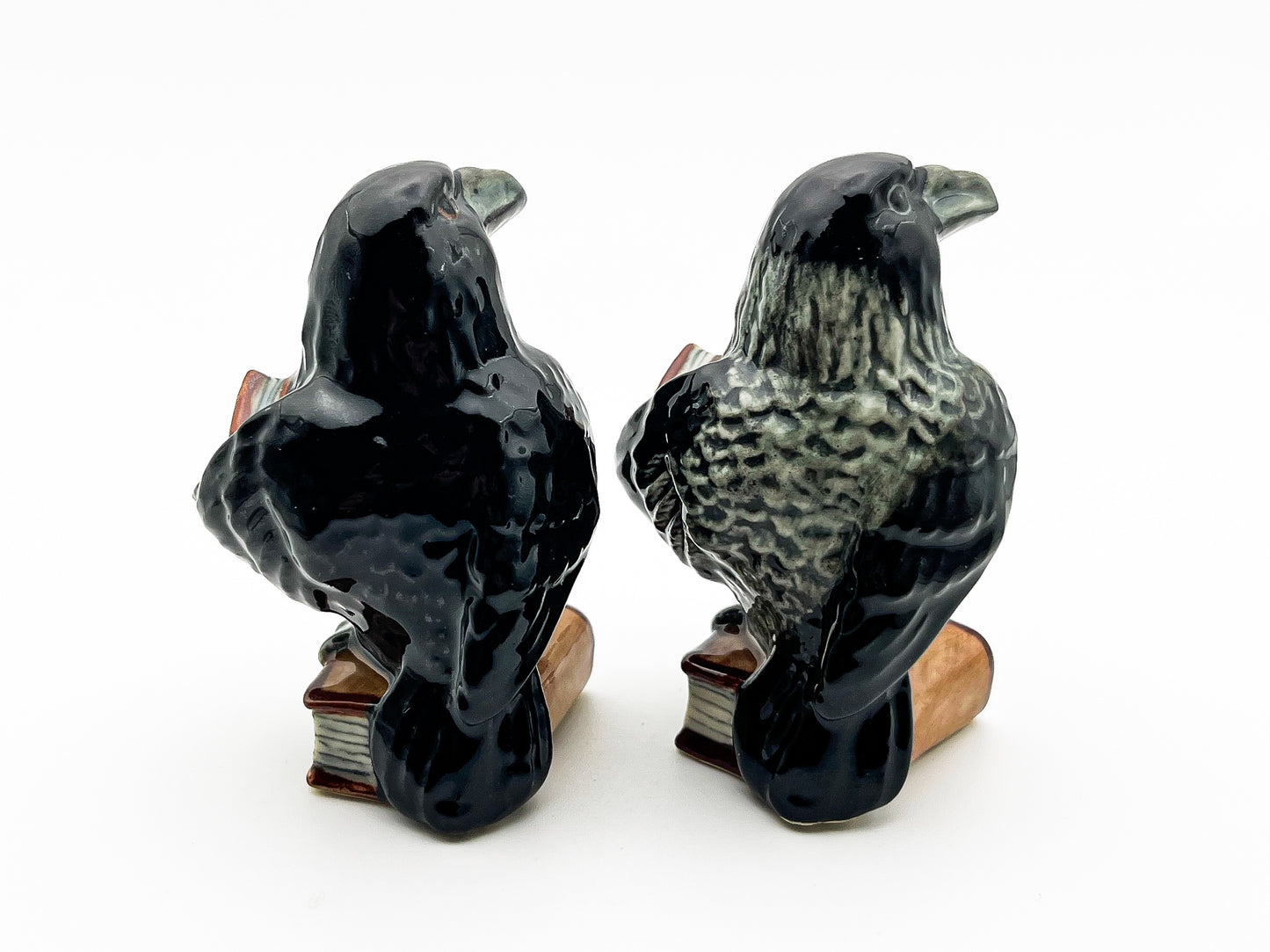 Enigmatic Raven
