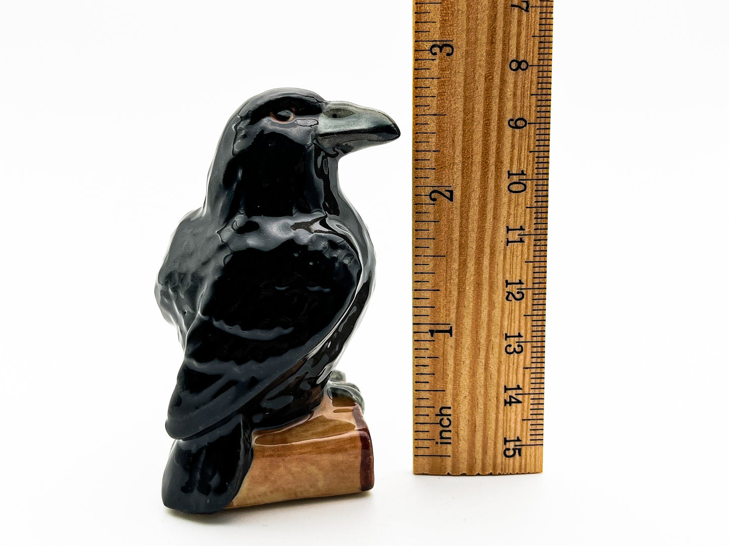 Enigmatic Raven
