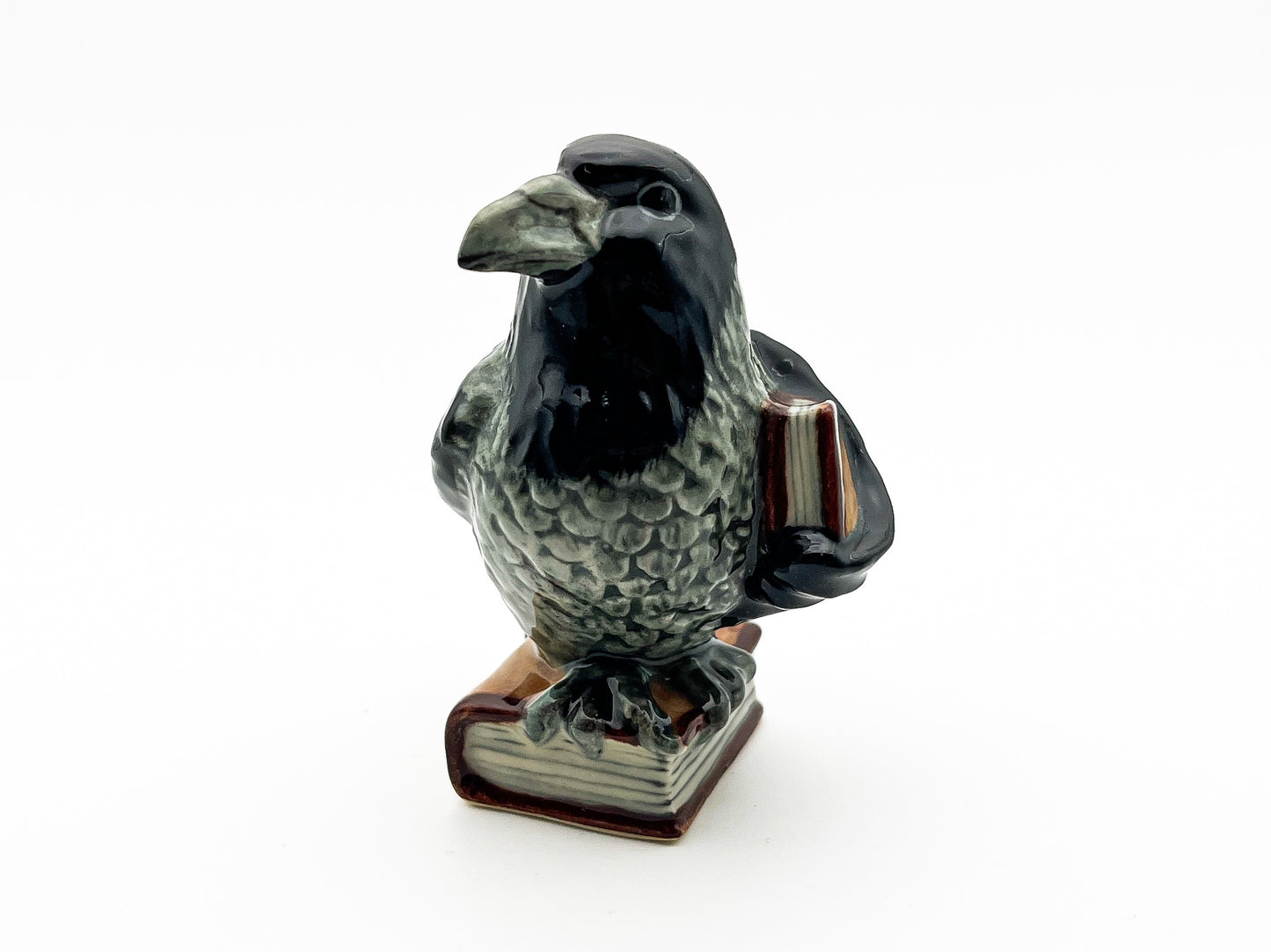 Enigmatic Raven