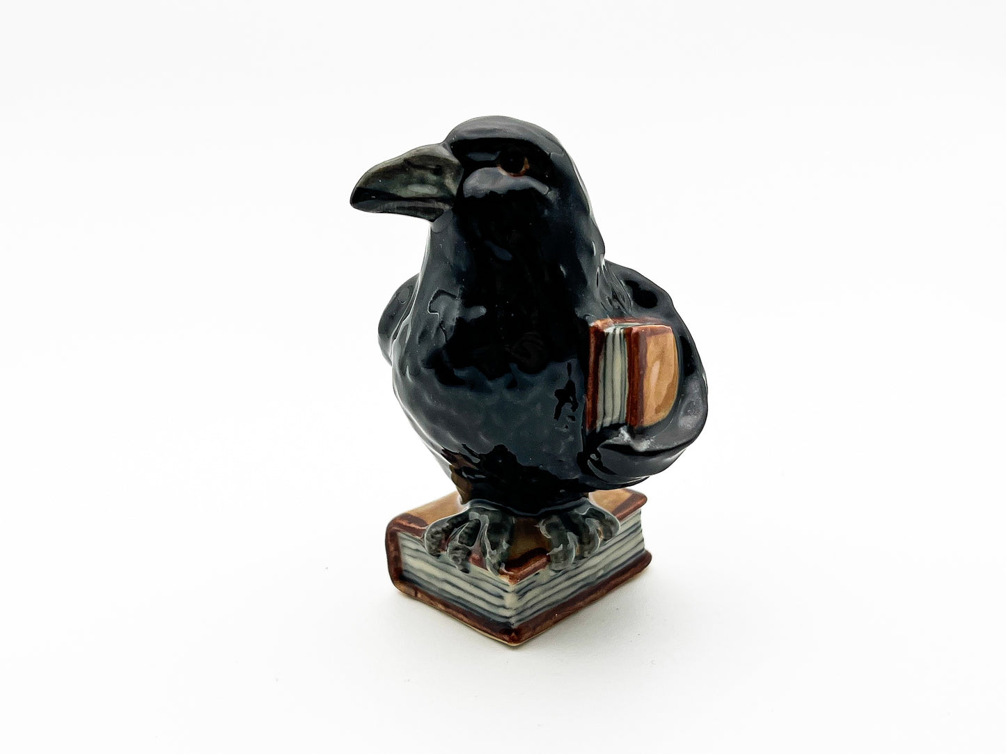 Enigmatic Raven