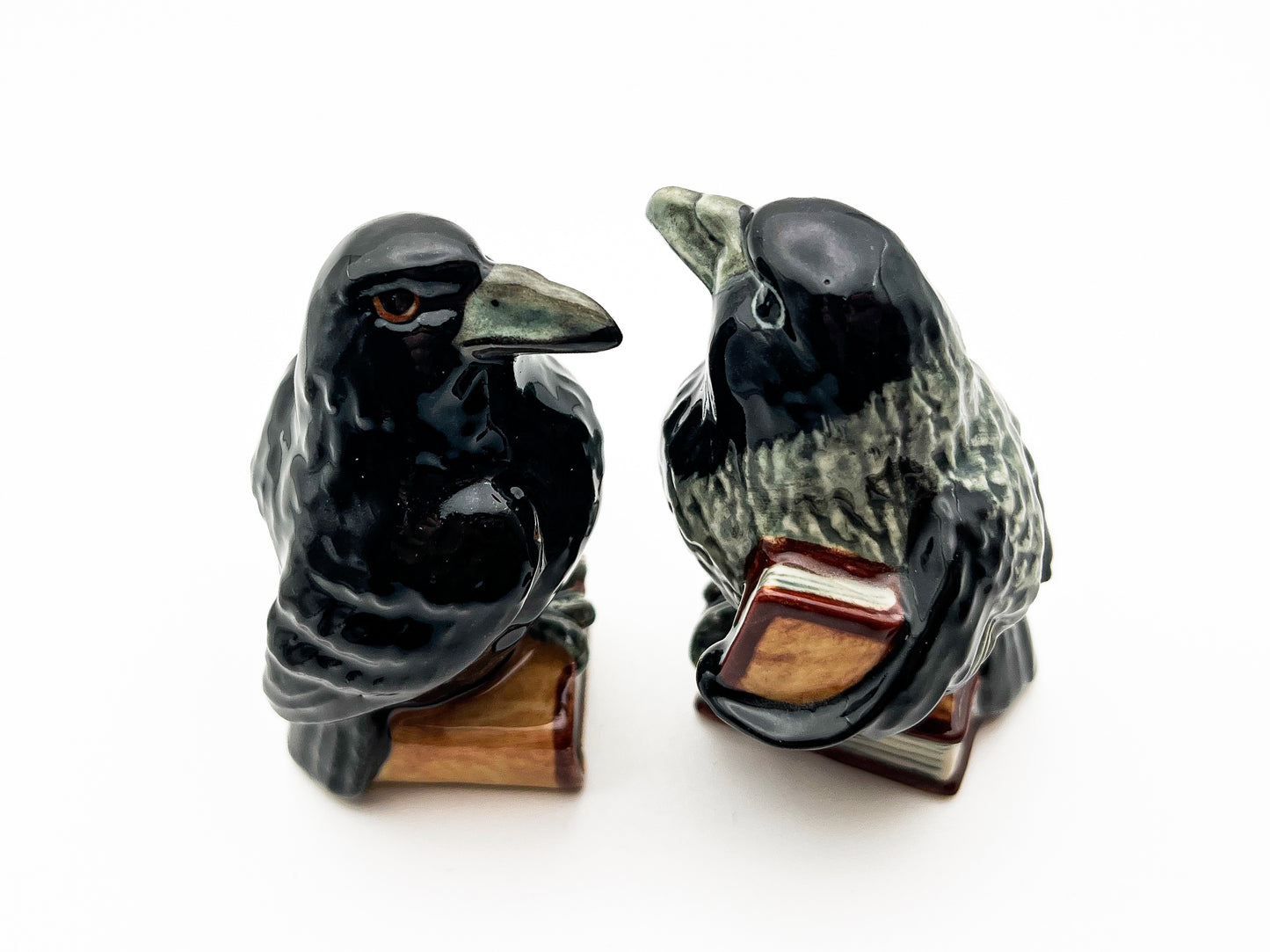 Enigmatic Raven