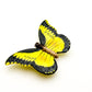 Yellow & Black Butterfly