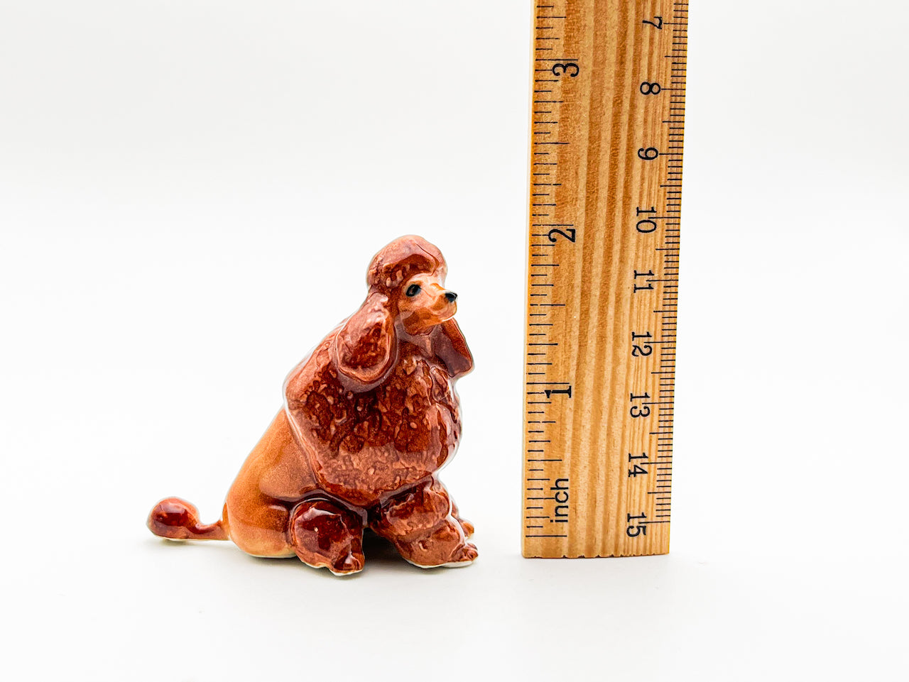 Red Brown Poodle, 4 Poses available