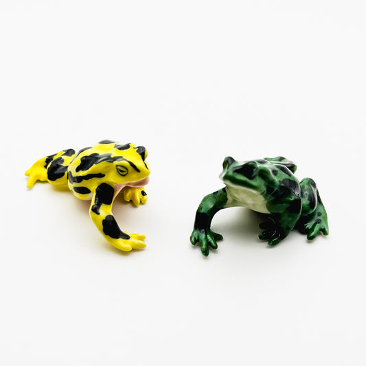 Frog with Black Dots Pattern