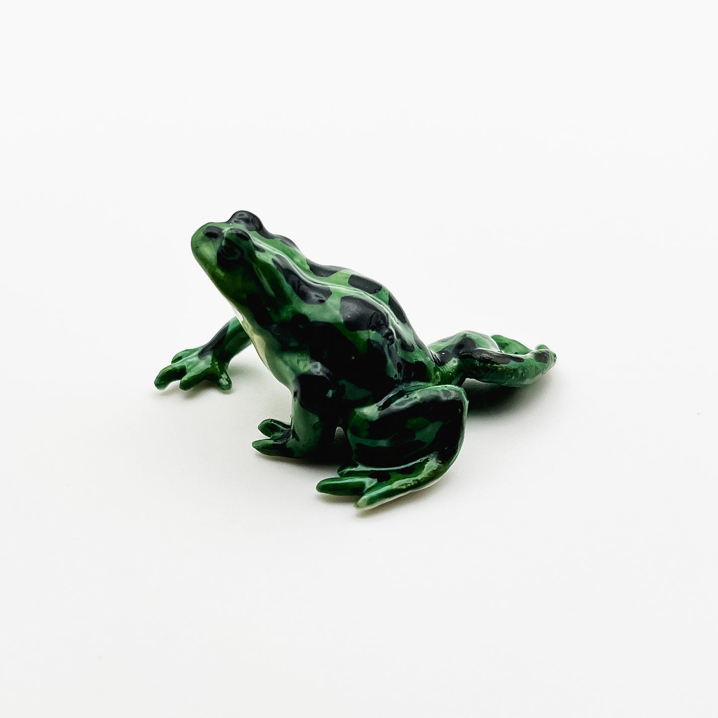 Frog with Black Dots Pattern