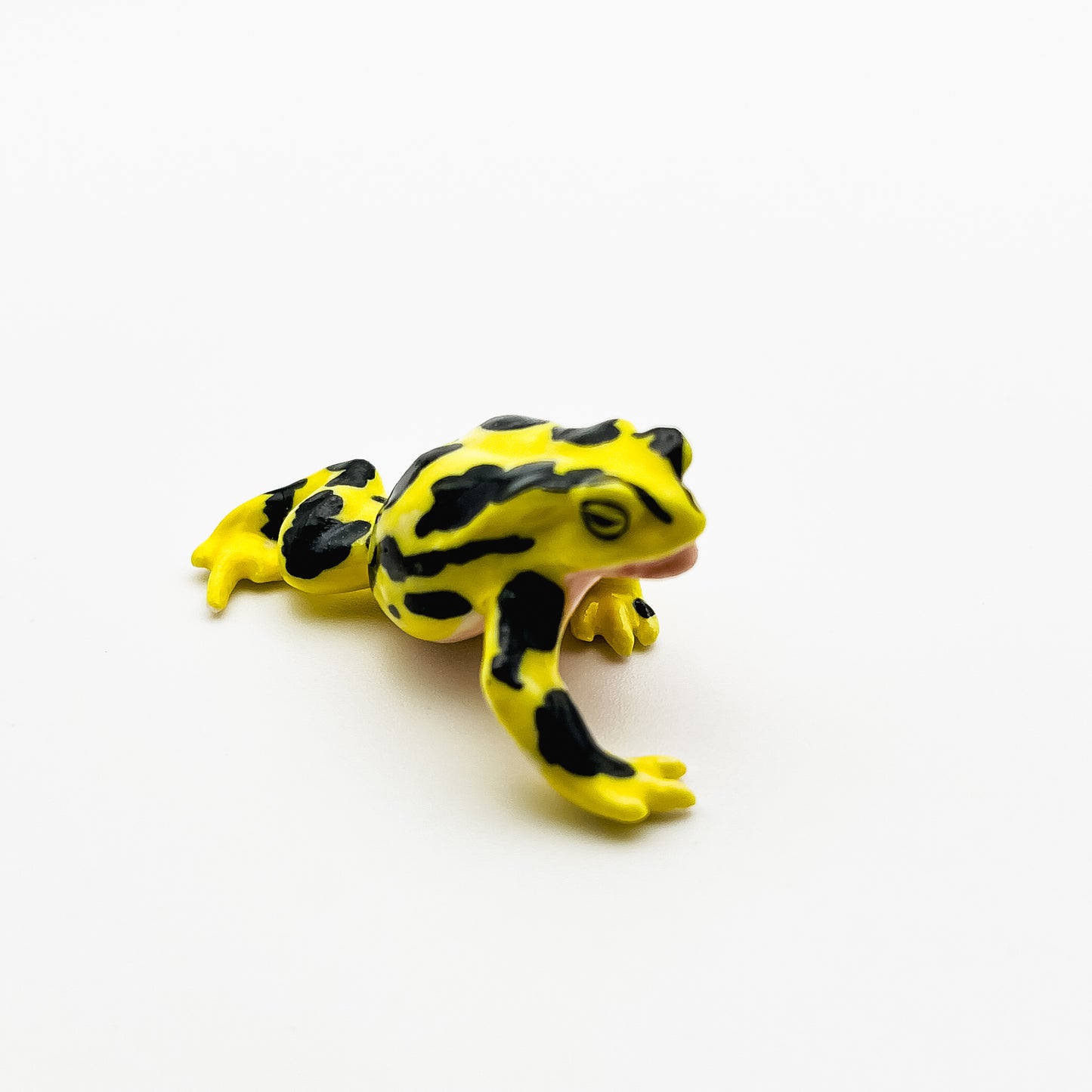 Frog with Black Dots Pattern