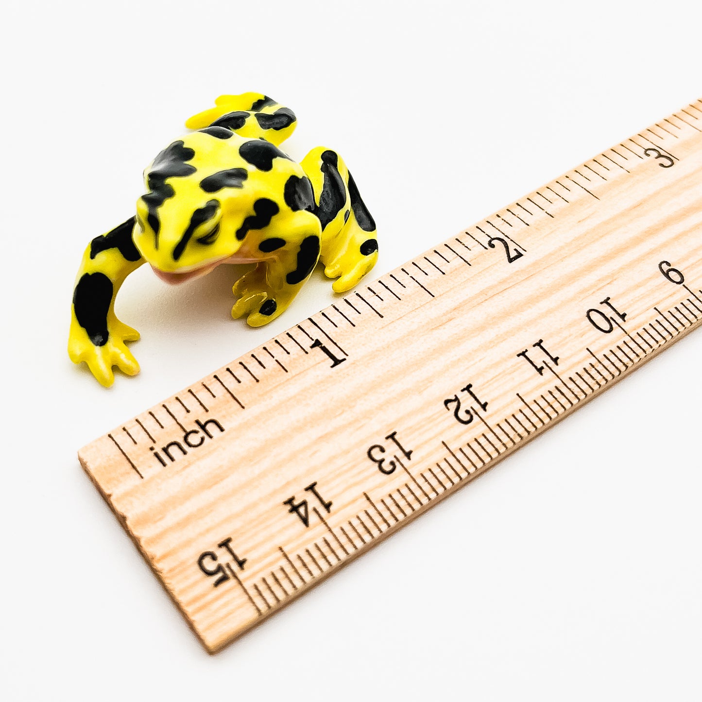 Frog with Black Dots Pattern