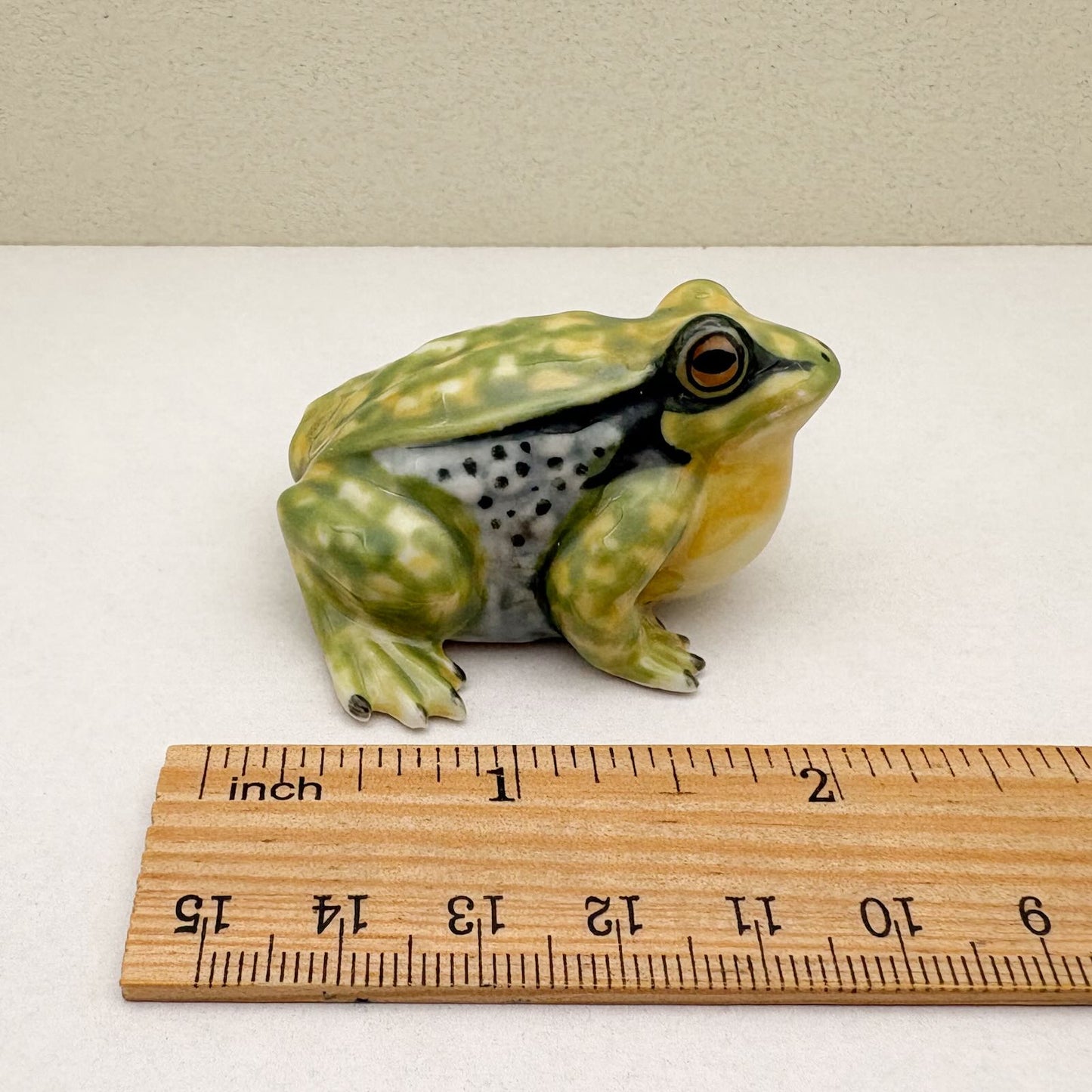 Green Golden Bell Frog